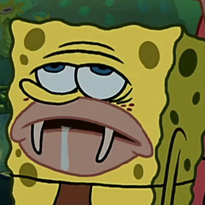 primitive_sponge.jpg