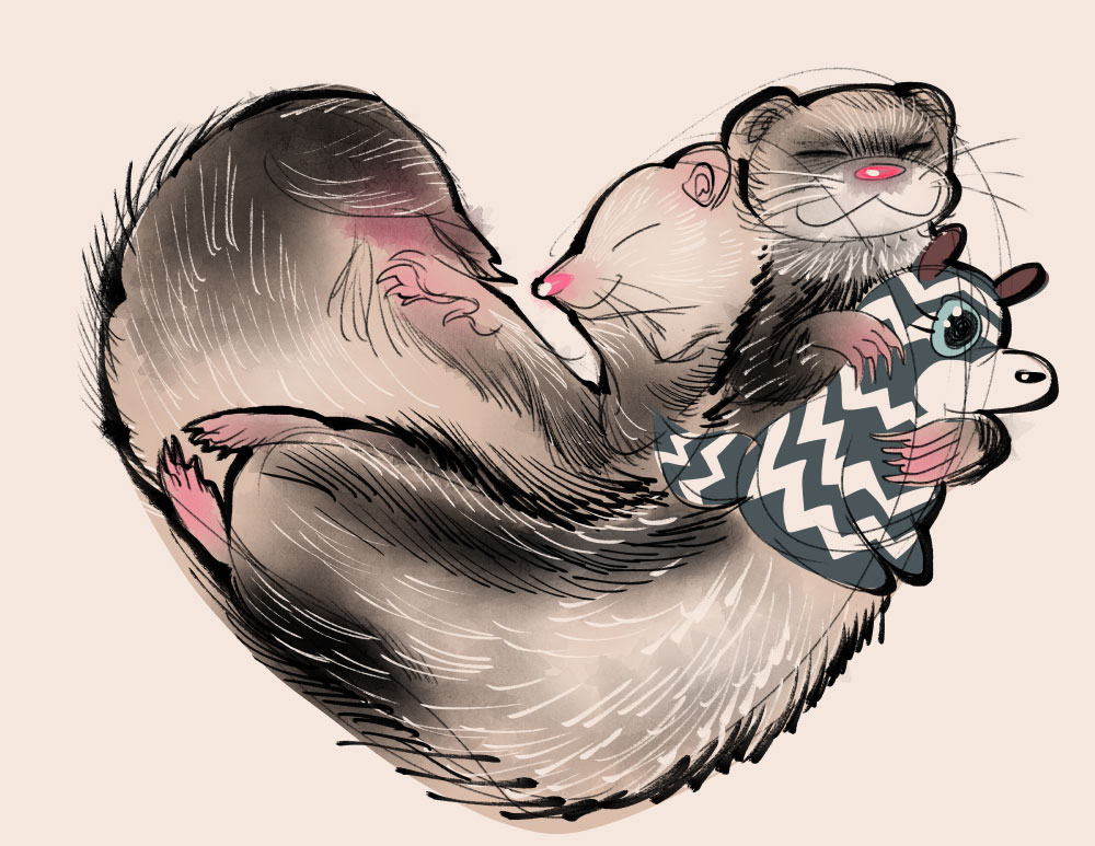 ashguro-ferrets.jpg