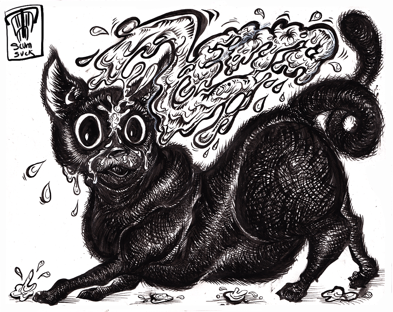 whim-zeppo.png