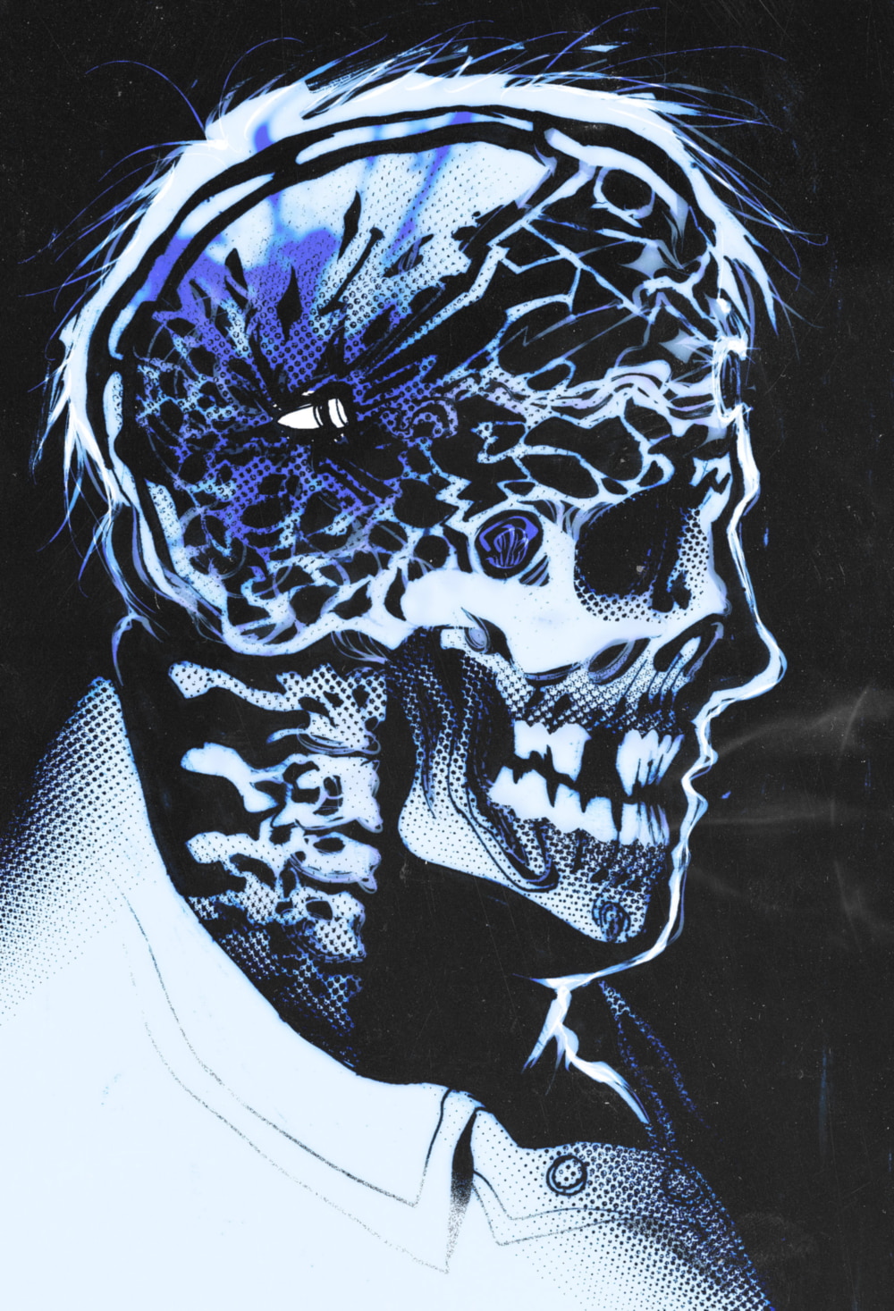 daiswan1_xray.jpg