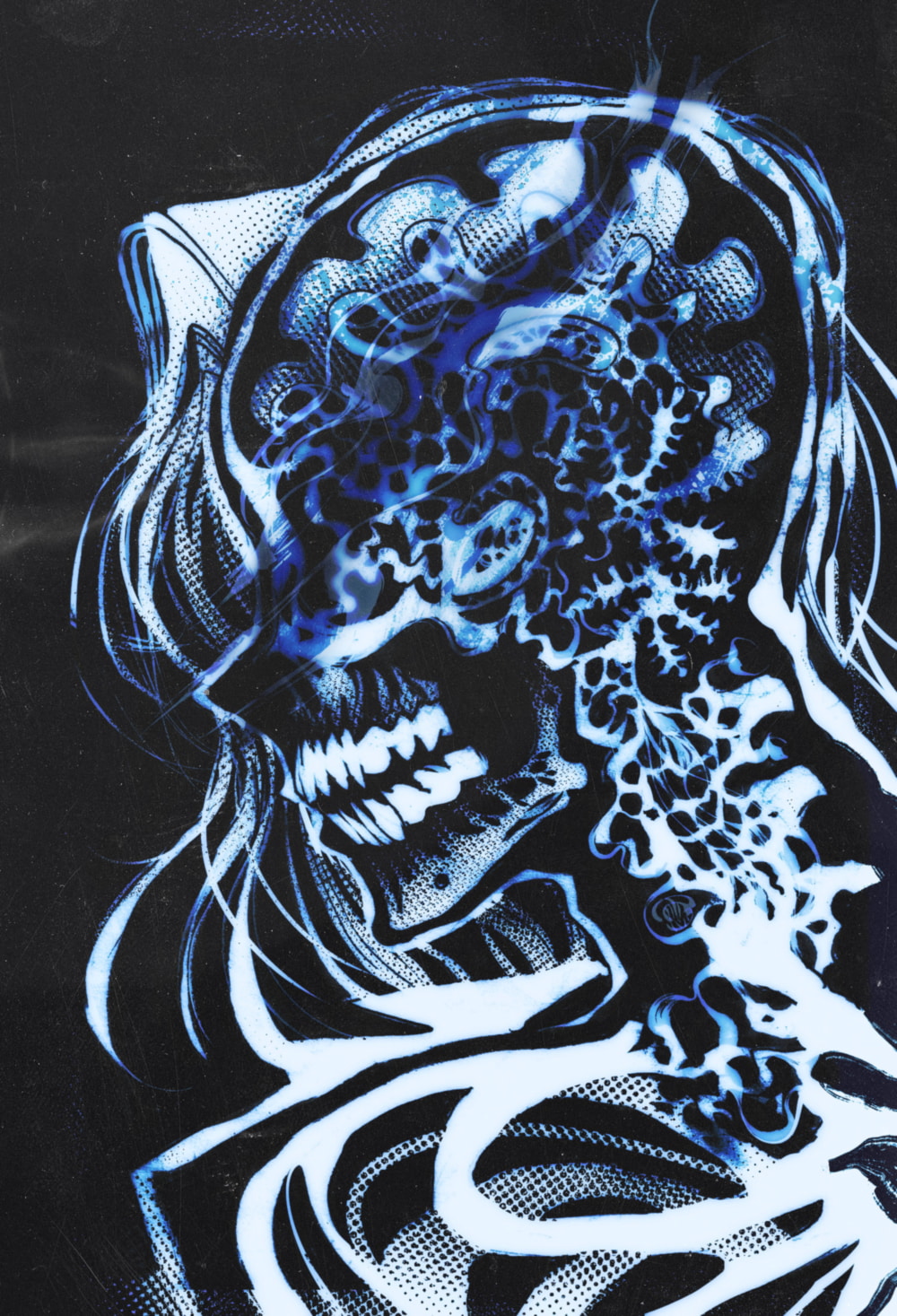 daiswan2_xray.jpg