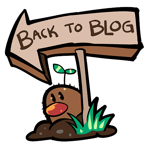  Back to Blog